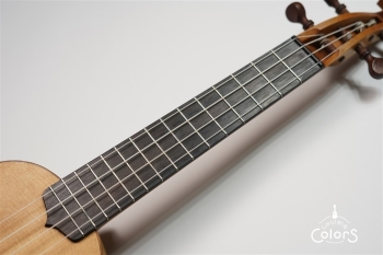 ukulele concert 14 FA.S